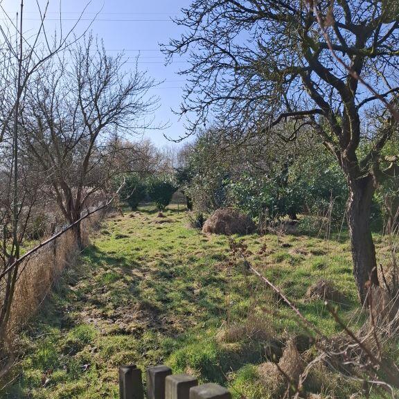 Ansicht der Immobilie